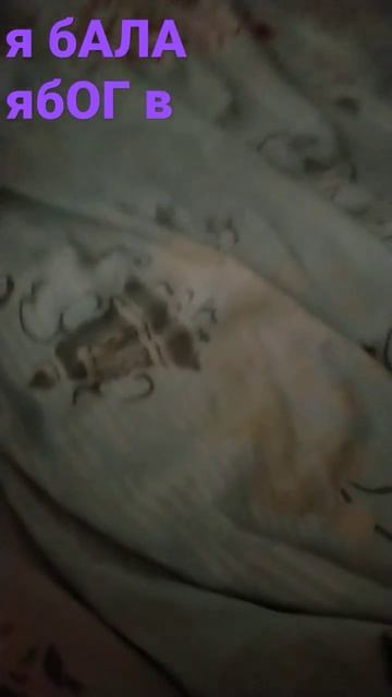 27 ноября 2022 г. смотреть онлайн