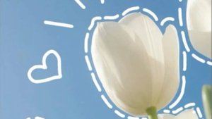 Аватар ворл видео сериал