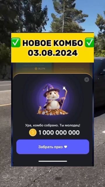 ТГ КАНАЛ В ПРОФИЛЕ #хомяк #абуз #крипта #криптовалюта #арбитраж #биржа #темка #темщик #блум #crypto смотреть онлайн