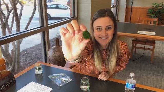 Marimo Moss Ball смотреть онлайн