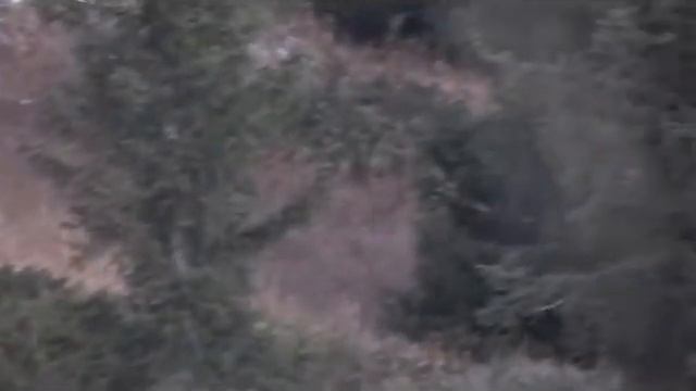 Maral hunting in Kazakhstan 2012 смотреть онлайн