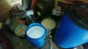 Самогон из яблок. Подмосковный кальвадос!!