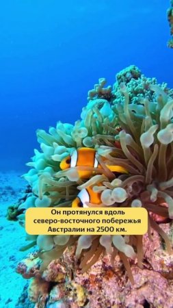 Это нужно увидеть своими глазами