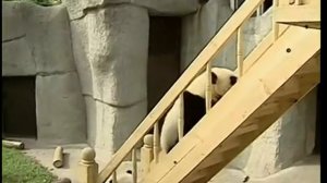 Strong SRT 8500. Дополнительные возможности