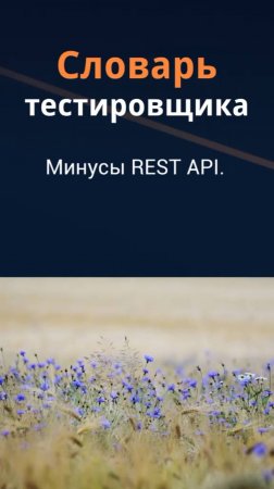 Словарь тестировщика. Минусы REST API.