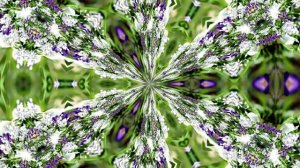 Видеофоны! Видеофон Подснежники 7! Футаж от Киностудии Мудрого Кота Тимофея!