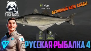 Активный Клёв Сайды. Русская Рыбалка 4