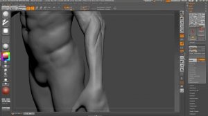 anatomy03_arms