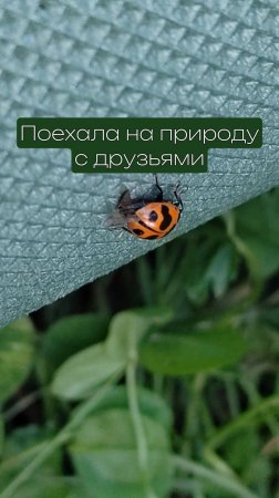 Поехала на природу с друзьями мой тгк: stolen_liz #природа #путешествие #развлечения #компания