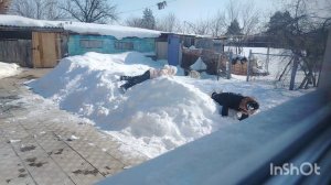 Первый день весны в Сладково.
