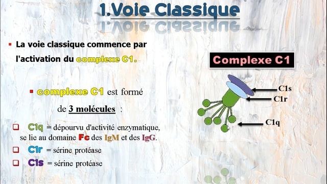 Immunité en Arabe, Système de Complément en Arabe svi S5. смотреть онлайн