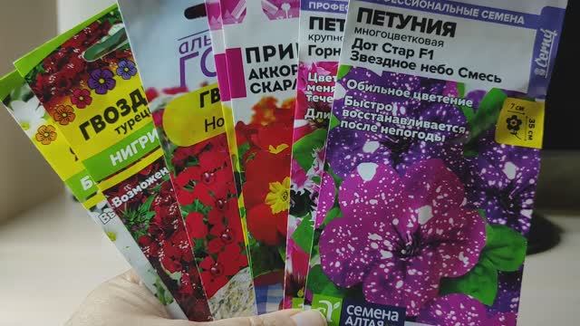 БОЛЬШОЙ ОБЗОР СЕМЯН ОЧЕНЬ КРАСИВЫХ ЦВЕТОВ #семена #сад #семенацветов #дельфиниум #армерия#обзорсемян