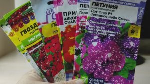 БОЛЬШОЙ ОБЗОР СЕМЯН ОЧЕНЬ КРАСИВЫХ ЦВЕТОВ #семена #сад #семенацветов #дельфиниум #армерия#обзорсемян