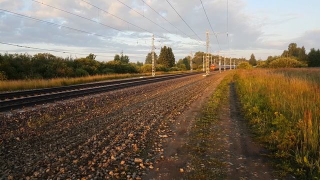 Кировская Вязьма ЧС4т-293 с поездом №28 Брест-Москва летит в Москву у платформы Вышегор