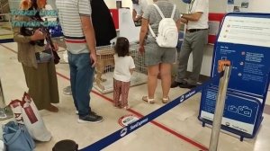 BLOG_Аэропорт города Samsun_Провожаем Золовку_Этого мы не ожидали_Ждём_Домашнее видео с мужем_Турция
