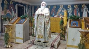 О Святом Богоявлении и Крещении Господа Иисуса Христа. Отец Александр Торик 19.01.2025
