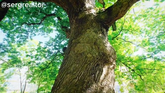 Агой. Квартира у моря по классной цене. Туапсе (Сочи, Краснодар, Черное море) @sergrealtor_krd