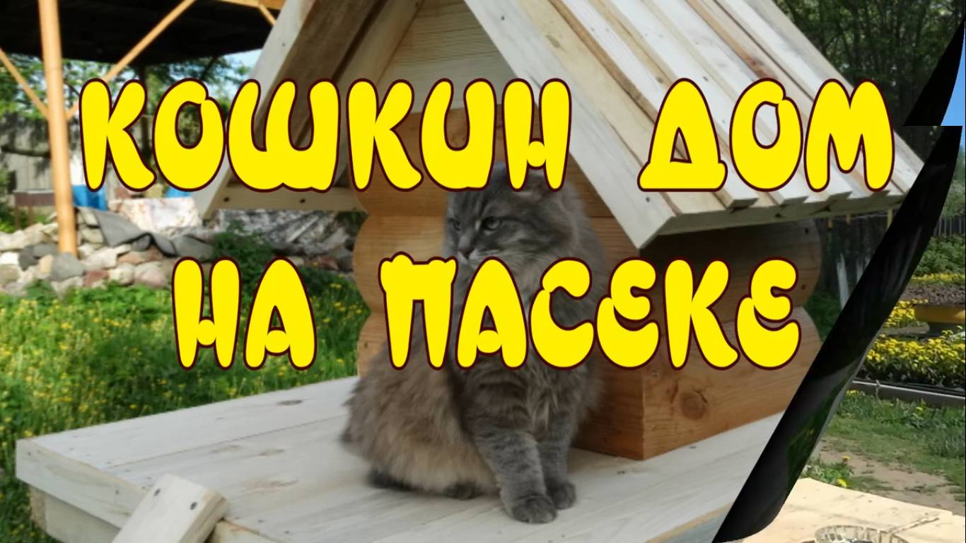 КОШКИН ДОМ НА ПАСЕКЕ. ДОМИК ДЛЯ КОШЕК СВОИМИ РУКАМИ. смотреть онлайн
