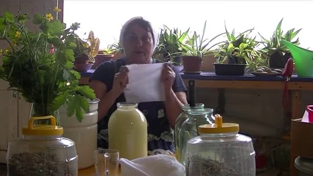 Квас Болотова. Природное очищающее и омолаживающее средство -  сыворотка на чистотеле  Как готовить