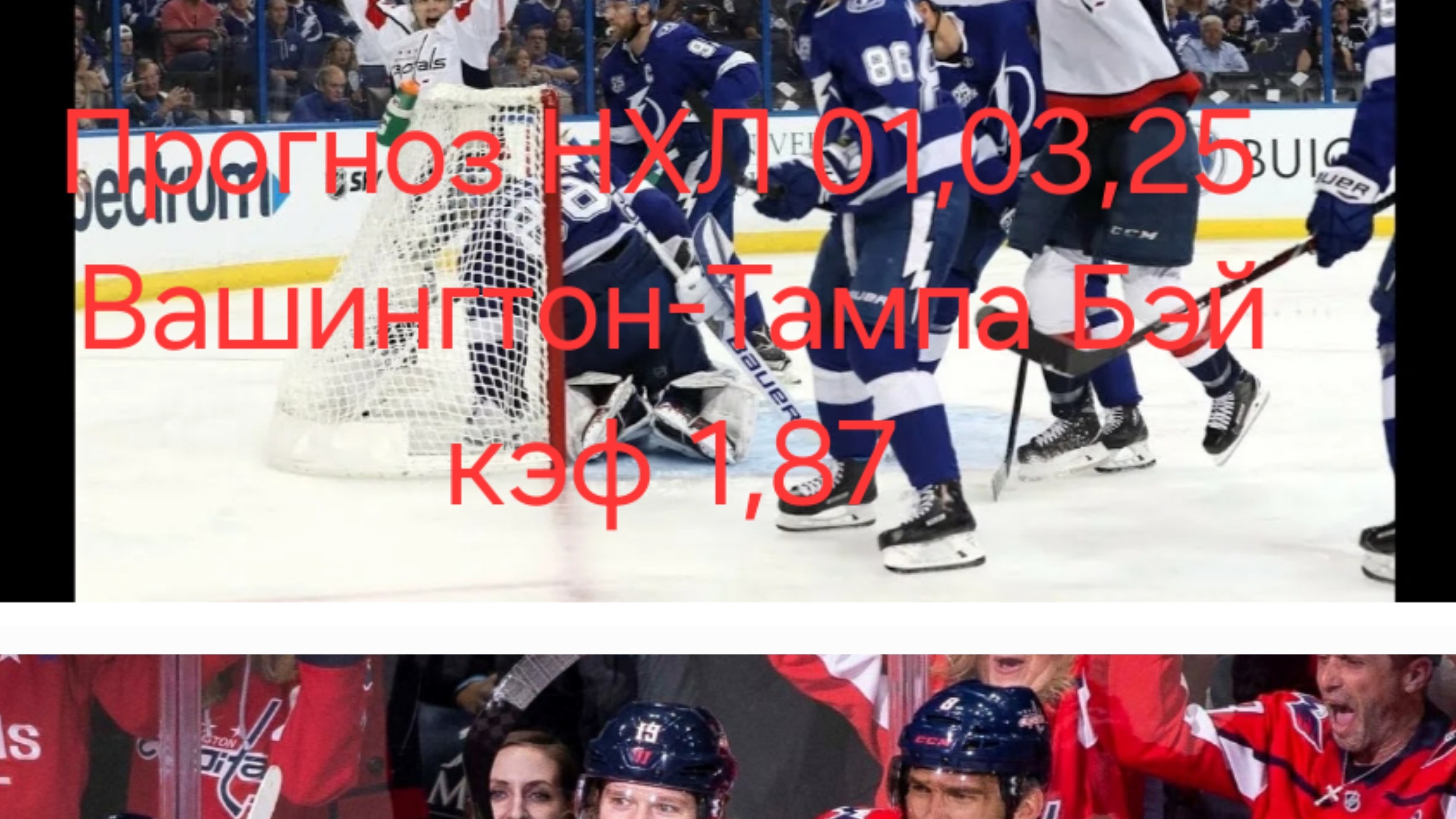 Прогноз НХЛ 01,03,25 Вашингтон-Тампа Бэй кэф 1,87