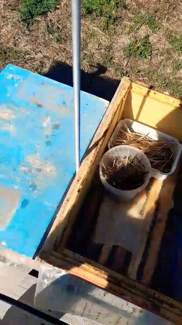 УБИРАЕМ КОРМУШКИ. Ужимаем пчел 29.09.2024 #bee #пчеловодство #пчелосемьи #пчелы смотреть онлайн