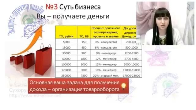 Суть бизнеса