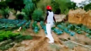 Зулкафиру Бамбара