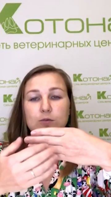 Заворот век у собак и кошек. Что делать?