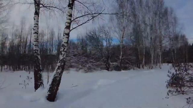 Волшебный снежный лес. Музыка для настроения