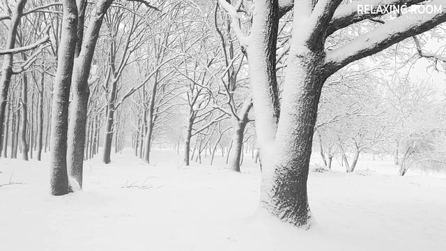 Blizzard Sounds for Sleep Relaxing Wind Sounds Winter Atmosphere
