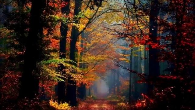 Pachelbel Forest Garden смотреть онлайн