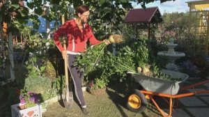 Конец февраля 2025 года. Сырники... Сею сельдереи корневой и черешковый...