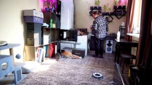 Утро в Сибири и вкусный обед для всей семьи с макаронами и салатами из мяса