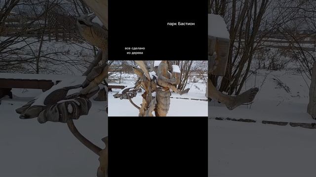 парк Бастион Сортавала. Тайная жизнь насекомых #сортавала #Бастион #семейныйканал