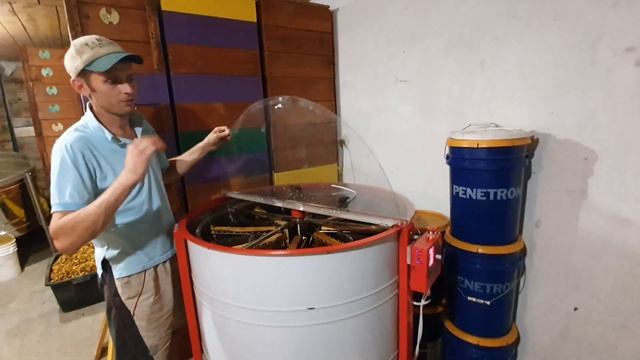 Эта медогонка Смогла! смотреть онлайн