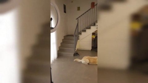 распаковка посылки