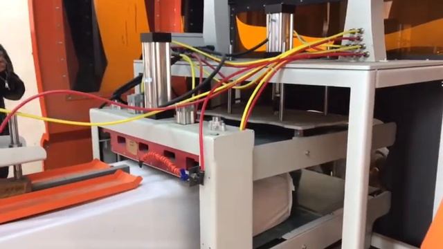 Fully automatic packer machine for feed // Автоматический упаковщик аппарат для упаковки кормов