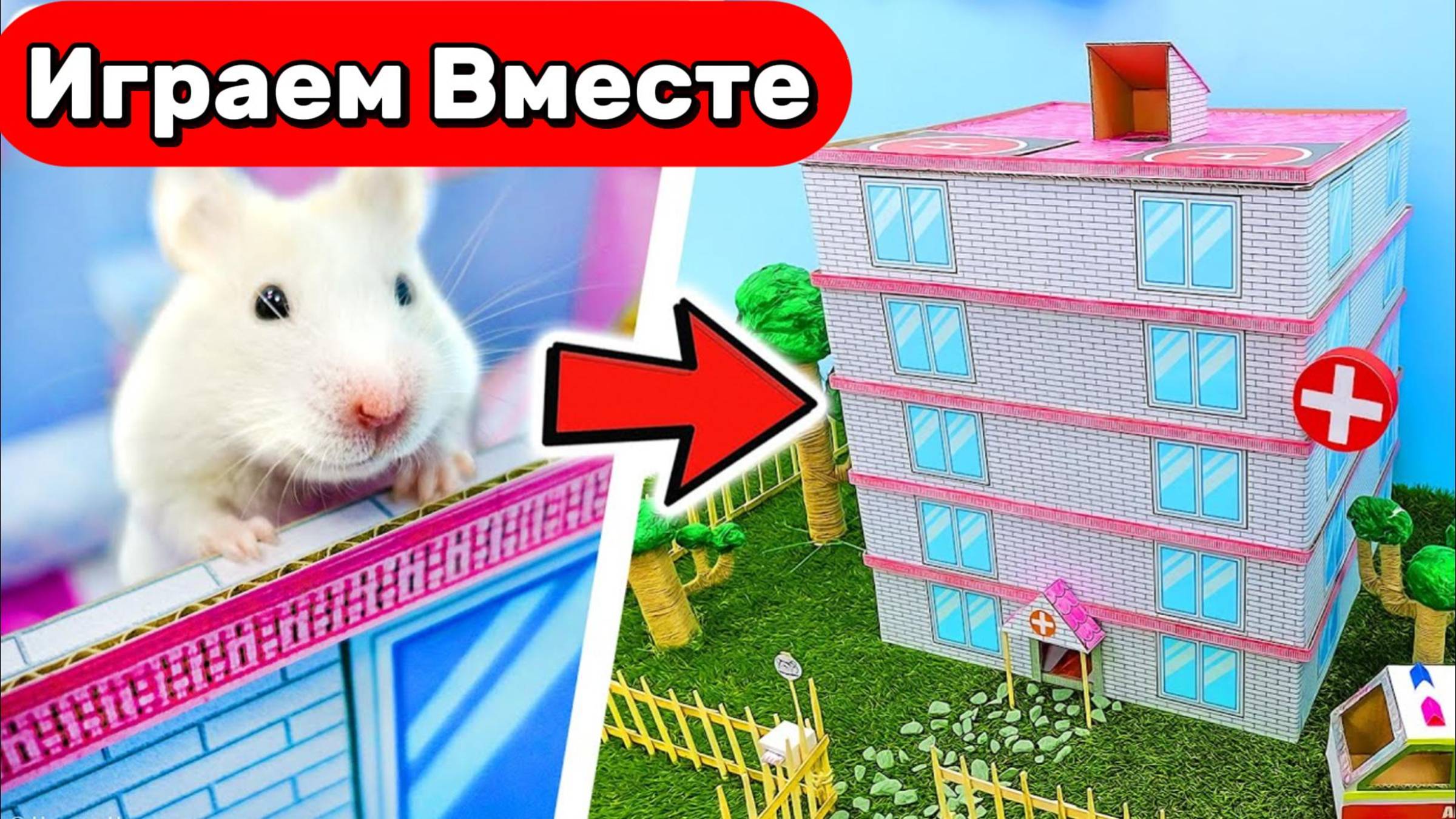 Хомяк выбирается из БОЛЬНИЦЫ с ЛОВУШКАМИ ! Видео для детей