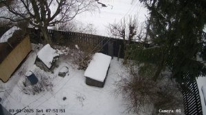 Белочка 0103