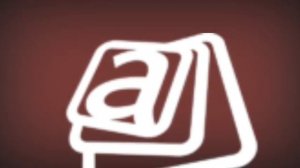 animaccord lightning logo