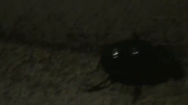 шок жук пищит смотреть онлайн