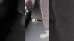 Minivan. Camping.Раскладка спального места Зафира Б.床佈局 Zafira B.Bed layout Zafira B.