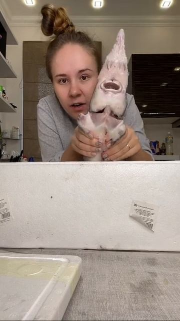 Заказала акулу смотреть онлайн