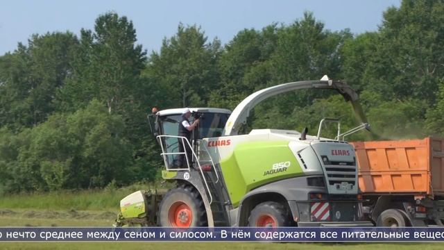 17.07.2024 На Сахалине идёт кормозаготовительная кампания