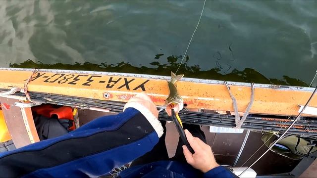 НА ЧУЖОЙ ВОБЛЕР не разевай рот ) ХАТА ИЗ ГОВНА И ПАЛОК смотреть онлайн