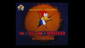 Woody Woodpecker /Дятел Вуди 13-16 серии HD
