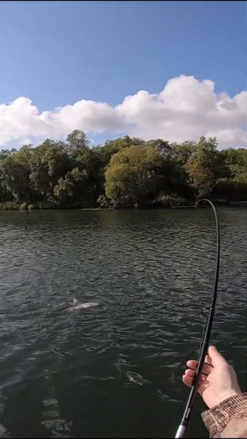 Кижуч на блесну смотреть онлайн