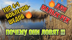 Топ 4 + 1 шедов, для малых рек, почему они ловят?