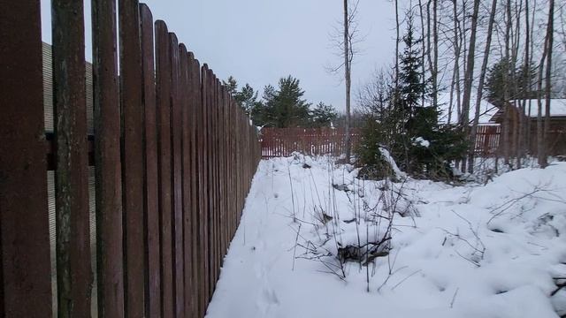 1000235879.mp4 смотреть онлайн