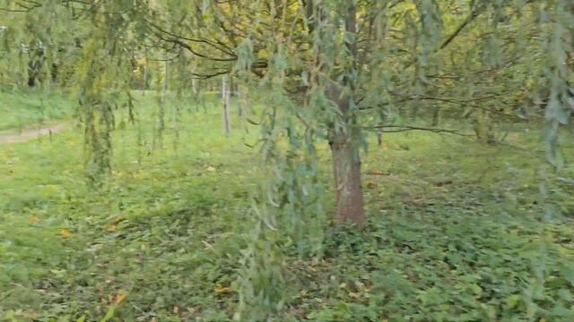 Технический водоём.Река Лощица и речка Мышка. смотреть онлайн